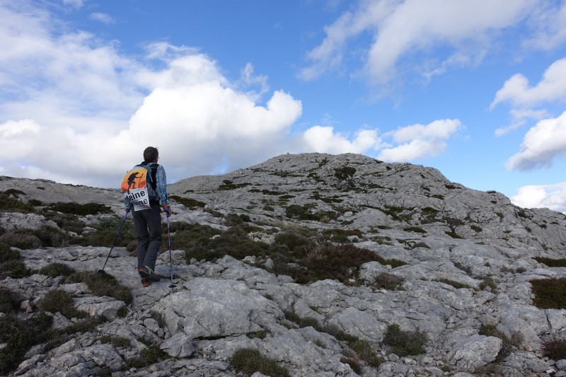 Cuber - Puig de l Ofre - Puig de na Franquesa - Puig de sa Rateta - Cuber