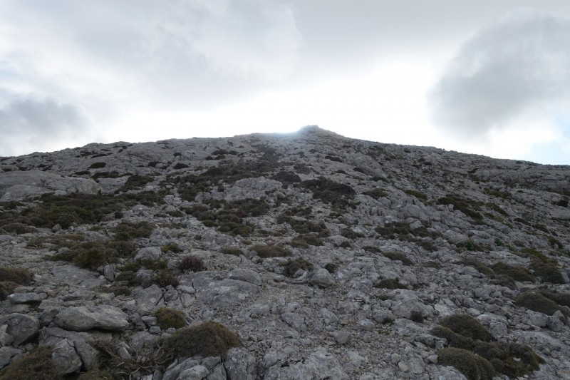 Cuber - Puig de l Ofre - Puig de na Franquesa - Puig de sa Rateta - Cuber