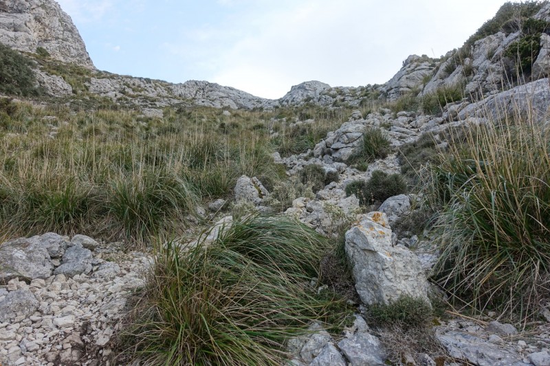 Cuber - Puig de l Ofre - Puig de na Franquesa - Puig de sa Rateta - Cuber