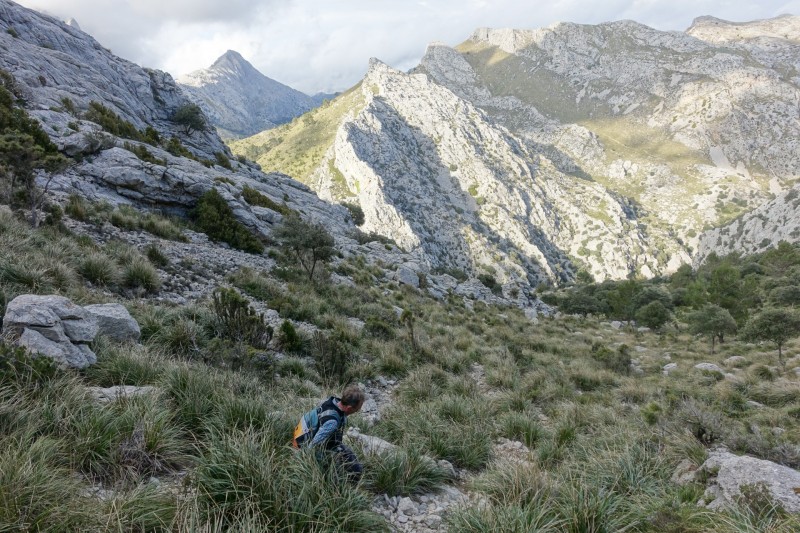 Cuber - Puig de l Ofre - Puig de na Franquesa - Puig de sa Rateta - Cuber