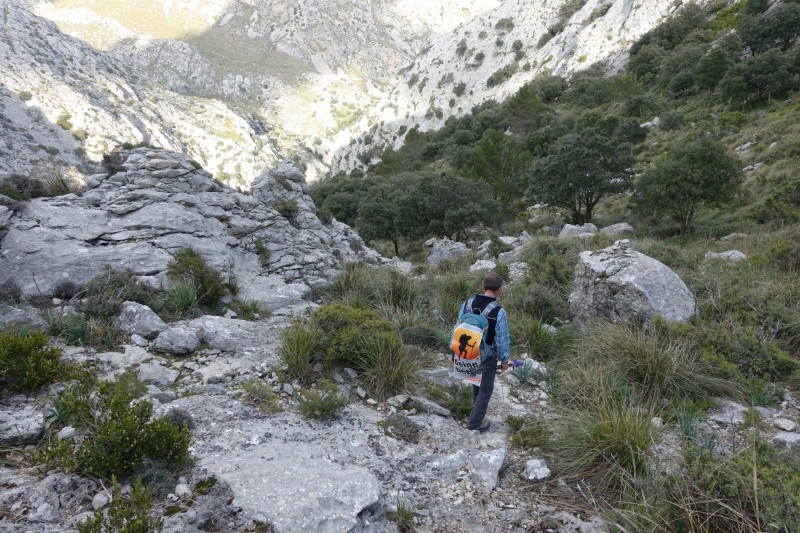 Cuber - Puig de l Ofre - Puig de na Franquesa - Puig de sa Rateta - Cuber