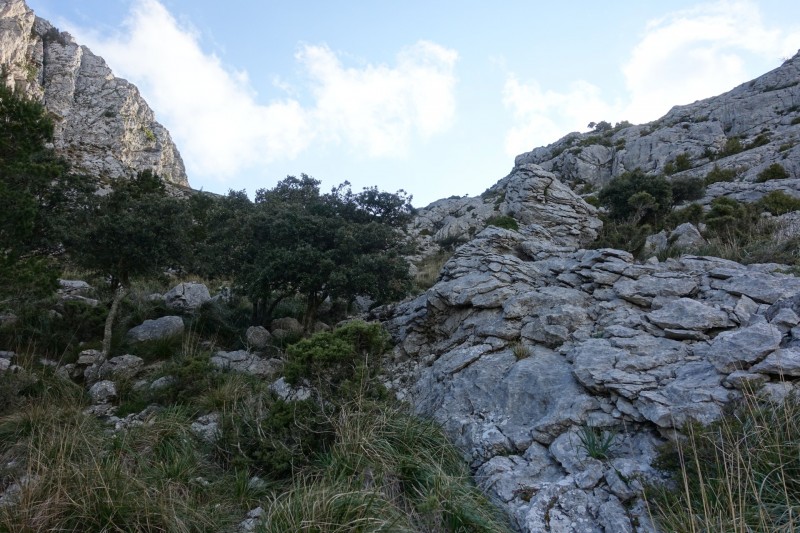 Cuber - Puig de l Ofre - Puig de na Franquesa - Puig de sa Rateta - Cuber