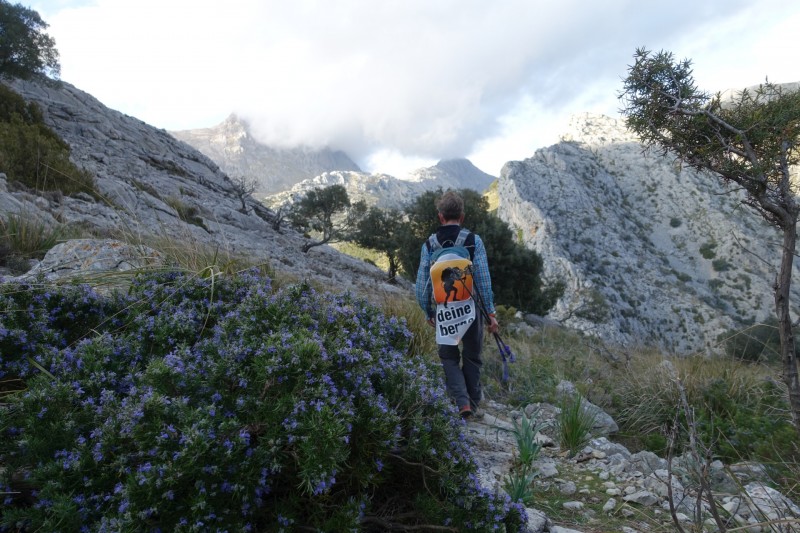 Cuber - Puig de l Ofre - Puig de na Franquesa - Puig de sa Rateta - Cuber