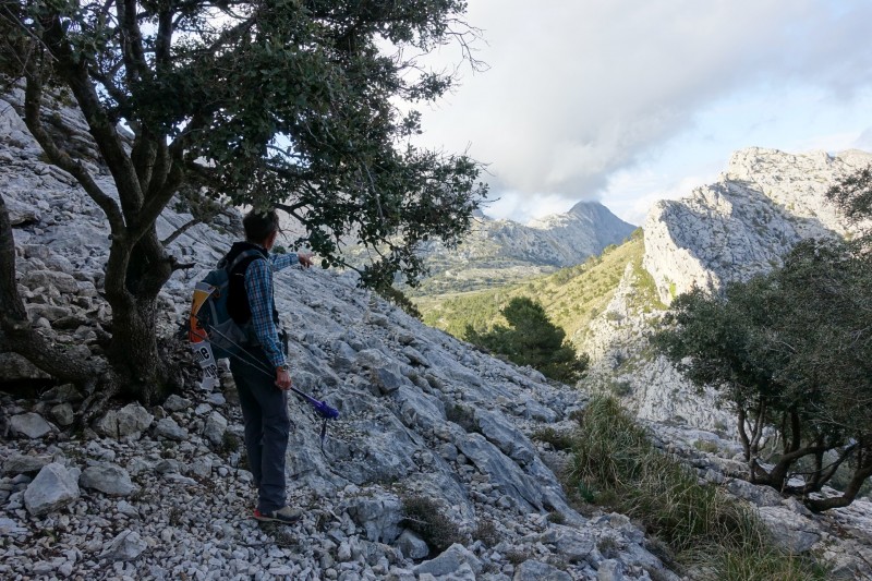 Cuber - Puig de l Ofre - Puig de na Franquesa - Puig de sa Rateta - Cuber