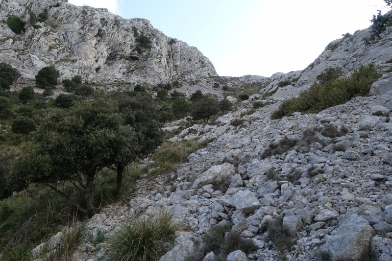 Cuber - Puig de l Ofre - Puig de na Franquesa - Puig de sa Rateta - Cuber
