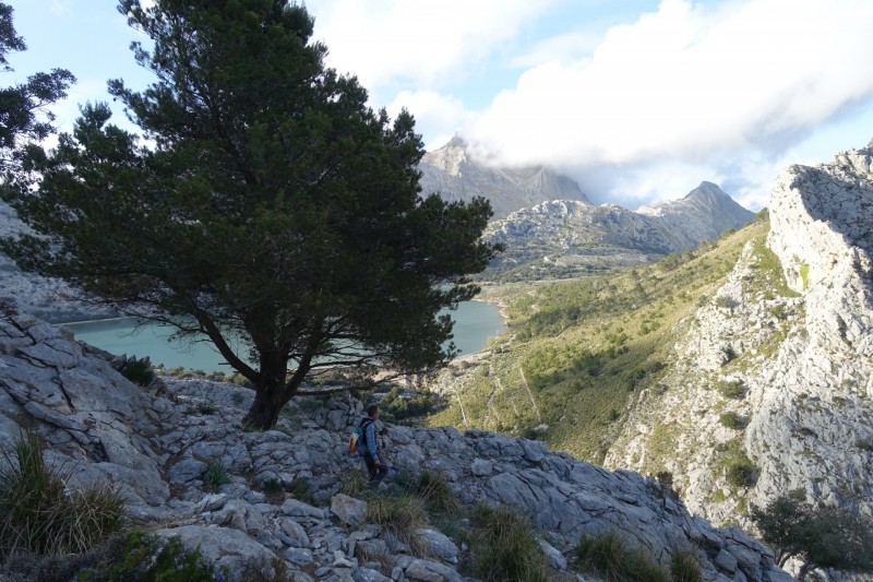 Cuber - Puig de l Ofre - Puig de na Franquesa - Puig de sa Rateta - Cuber