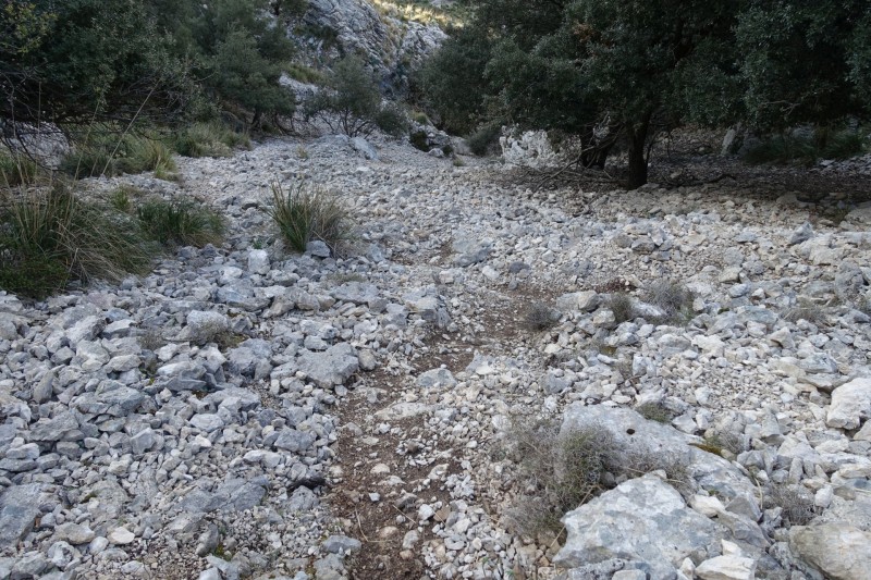 Cuber - Puig de l Ofre - Puig de na Franquesa - Puig de sa Rateta - Cuber