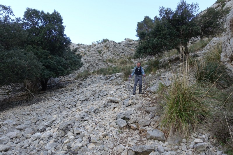 Cuber - Puig de l Ofre - Puig de na Franquesa - Puig de sa Rateta - Cuber