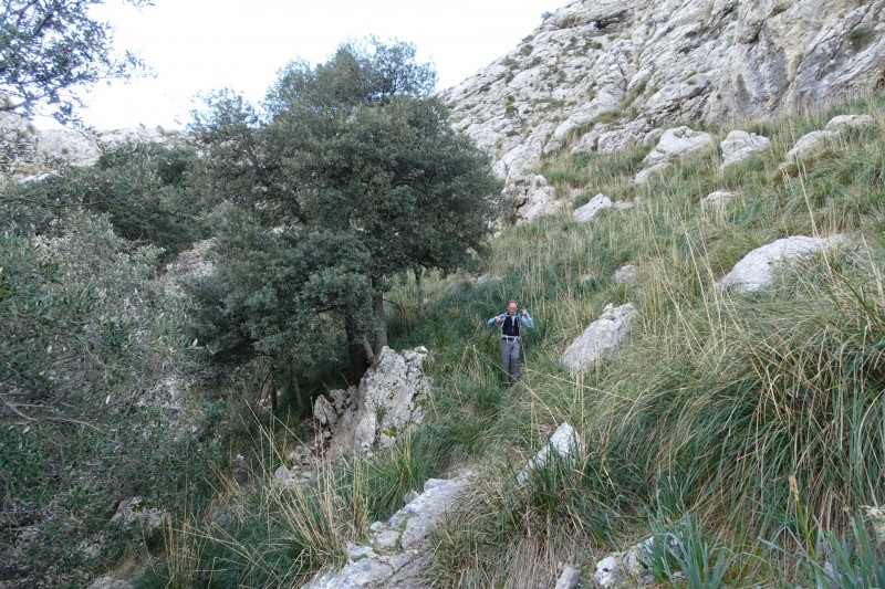 Cuber - Puig de l Ofre - Puig de na Franquesa - Puig de sa Rateta - Cuber