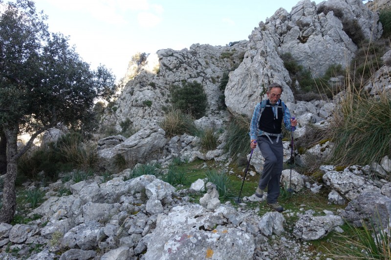 Cuber - Puig de l Ofre - Puig de na Franquesa - Puig de sa Rateta - Cuber
