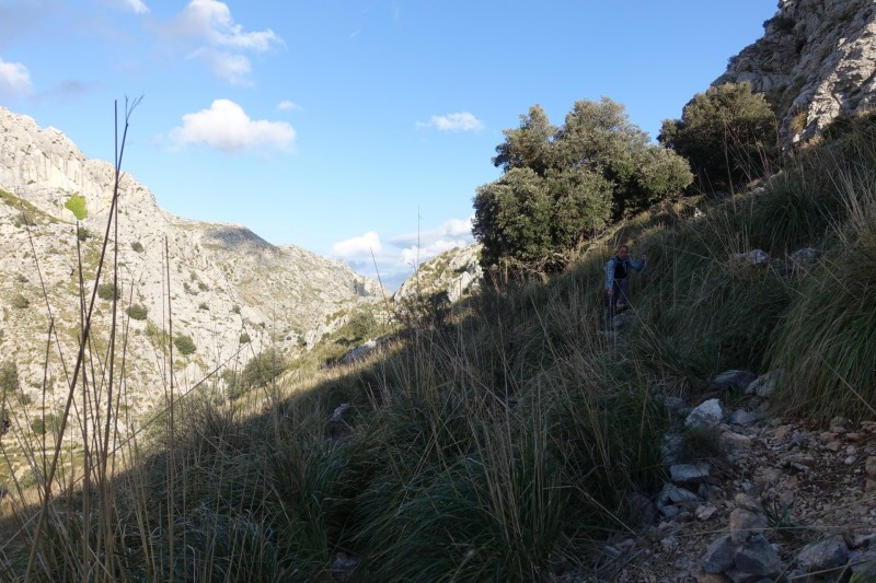 Cuber - Puig de l Ofre - Puig de na Franquesa - Puig de sa Rateta - Cuber