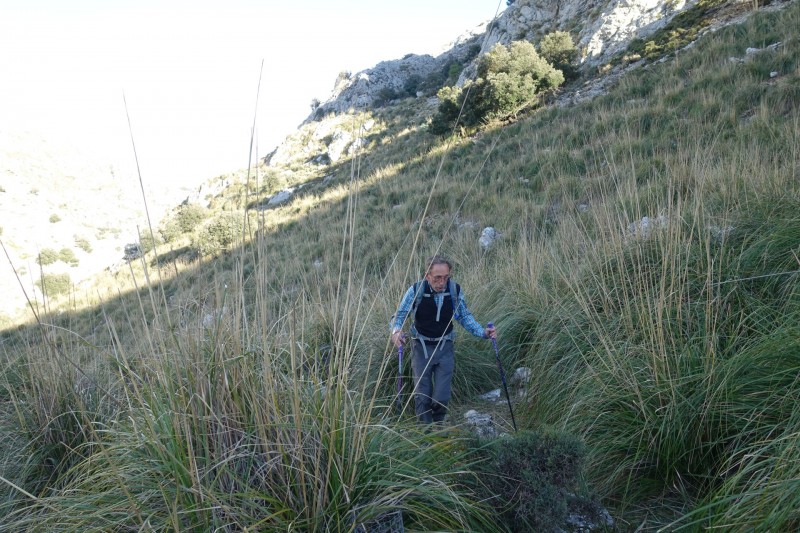 Cuber - Puig de l Ofre - Puig de na Franquesa - Puig de sa Rateta - Cuber