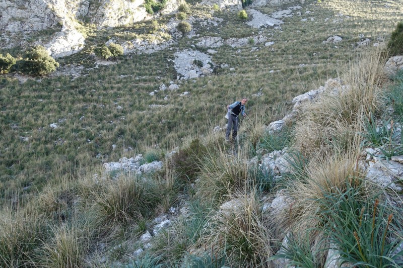 Cuber - Puig de l Ofre - Puig de na Franquesa - Puig de sa Rateta - Cuber