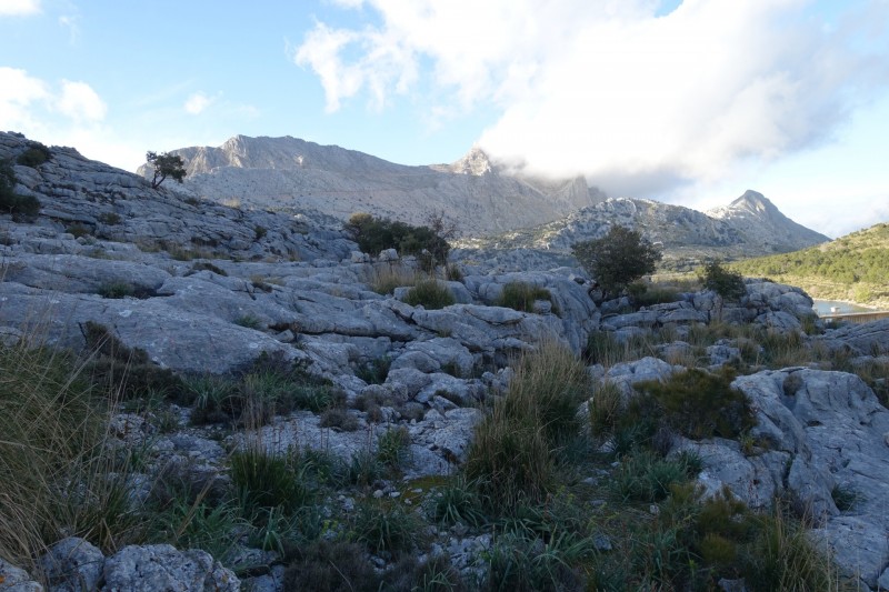 Cuber - Puig de l Ofre - Puig de na Franquesa - Puig de sa Rateta - Cuber