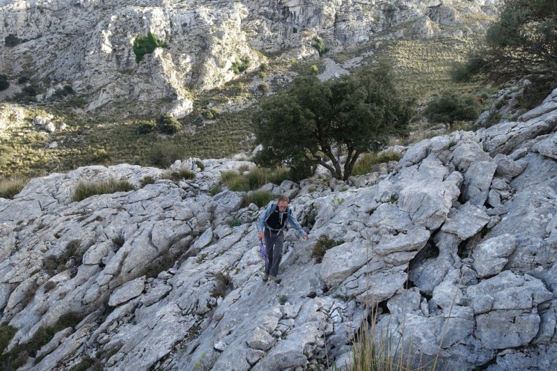 Cuber - Puig de l Ofre - Puig de na Franquesa - Puig de sa Rateta - Cuber