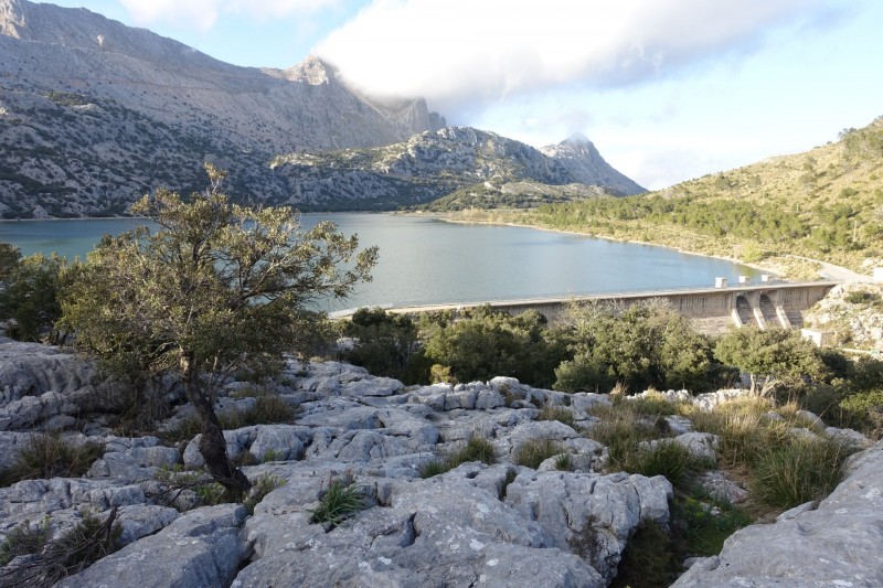Cuber - Puig de l Ofre - Puig de na Franquesa - Puig de sa Rateta - Cuber