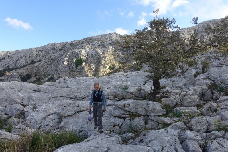 Cuber - Puig de l Ofre - Puig de na Franquesa - Puig de sa Rateta - Cuber