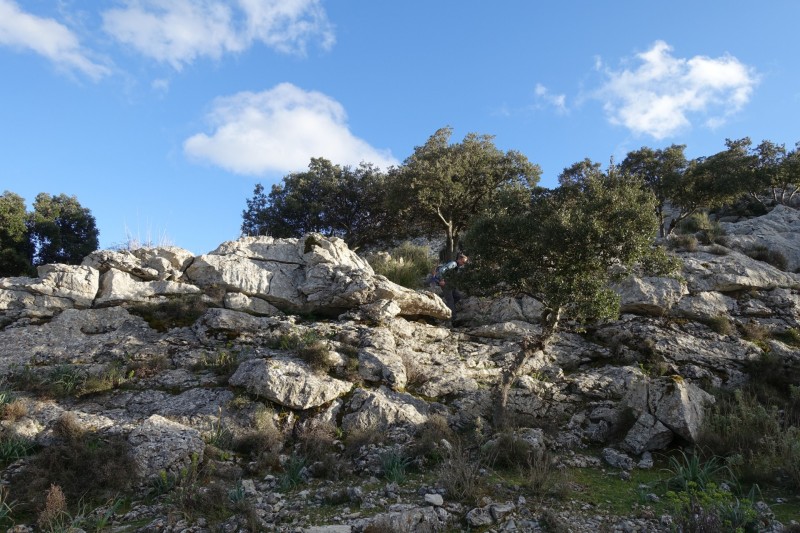 Cuber - Puig de l Ofre - Puig de na Franquesa - Puig de sa Rateta - Cuber
