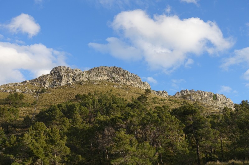 Cuber - Puig de l Ofre - Puig de na Franquesa - Puig de sa Rateta - Cuber