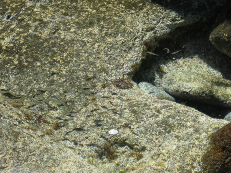 Cubo de la Galga und Charco Azul