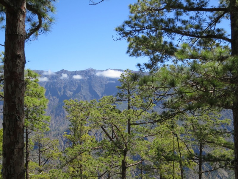 Cumbrecita nach Los Llanos