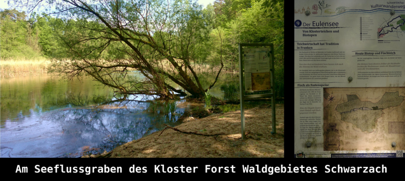 Dettelbach-Eulen See