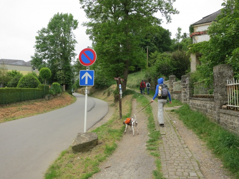Deutsch-Luxemburgischer Felsenweg - gelbe Route