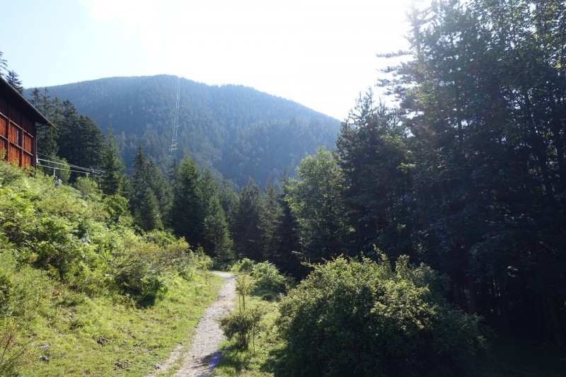 Eckenberg - Ameisberg - Rowank - Esterberg-Alm - Httlsteig