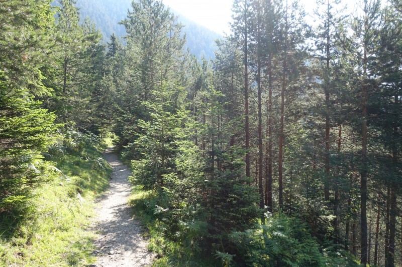 Eckenberg - Ameisberg - Rowank - Esterberg-Alm - Httlsteig