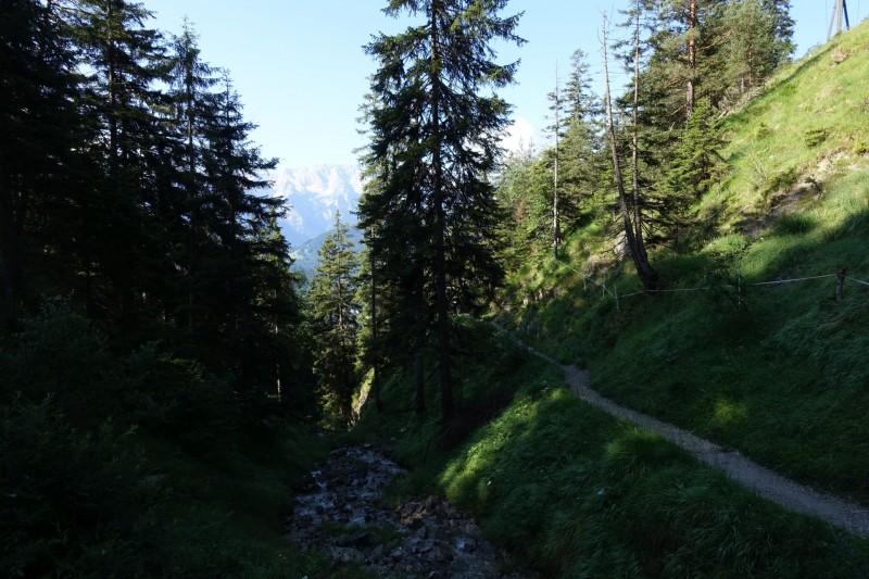 Eckenberg - Ameisberg - Rowank - Esterberg-Alm - Httlsteig