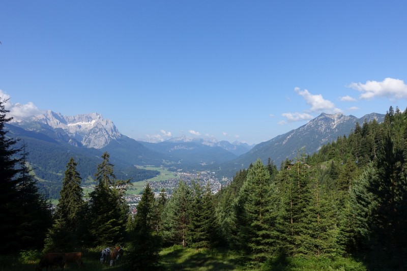 Eckenberg - Ameisberg - Rowank - Esterberg-Alm - Httlsteig