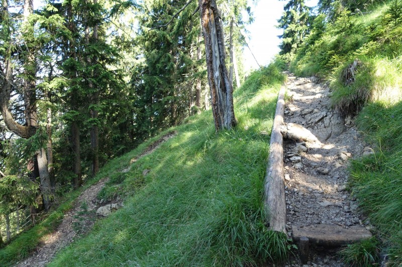 Eckenberg - Ameisberg - Rowank - Esterberg-Alm - Httlsteig