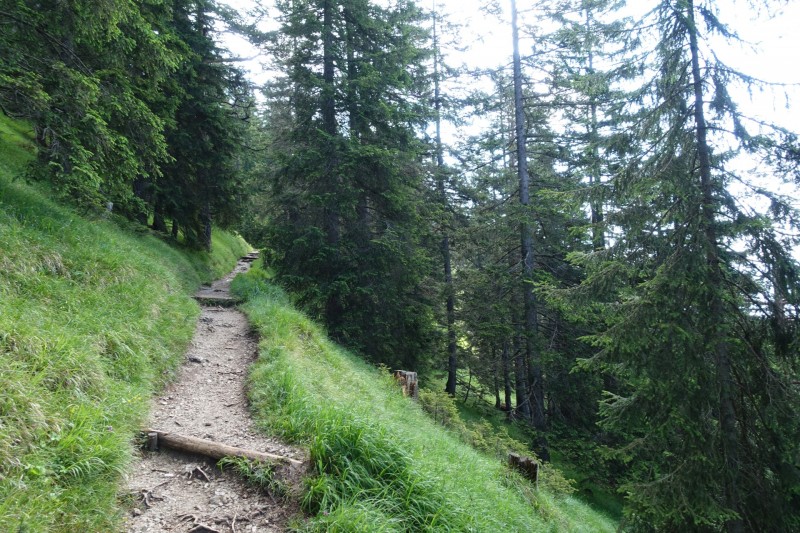 Eckenberg - Ameisberg - Rowank - Esterberg-Alm - Httlsteig