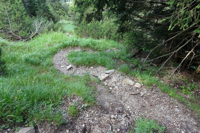 Eckenberg - Ameisberg - Rowank - Esterberg-Alm - Httlsteig