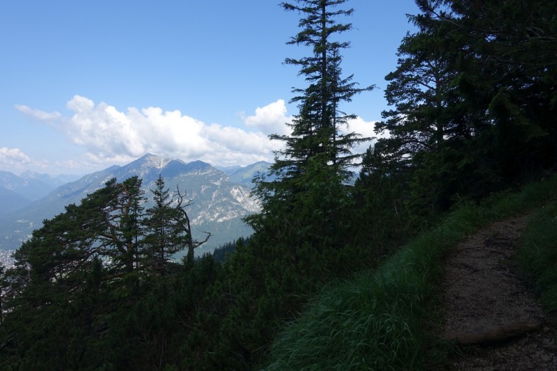 Eckenberg - Ameisberg - Rowank - Esterberg-Alm - Httlsteig