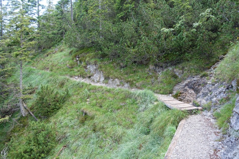 Eckenberg - Ameisberg - Rowank - Esterberg-Alm - Httlsteig