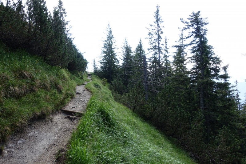 Eckenberg - Ameisberg - Rowank - Esterberg-Alm - Httlsteig