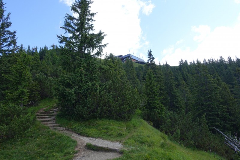 Eckenberg - Ameisberg - Rowank - Esterberg-Alm - Httlsteig