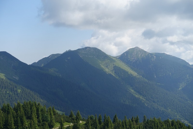 Eckenberg - Ameisberg - Rowank - Esterberg-Alm - Httlsteig
