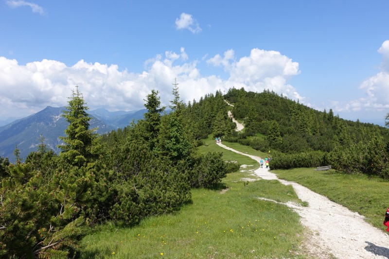 Eckenberg - Ameisberg - Rowank - Esterberg-Alm - Httlsteig