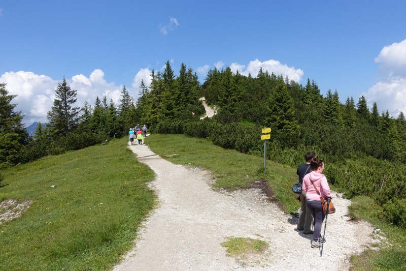 Eckenberg - Ameisberg - Rowank - Esterberg-Alm - Httlsteig