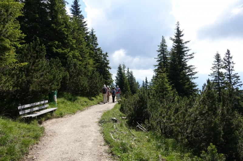 Eckenberg - Ameisberg - Rowank - Esterberg-Alm - Httlsteig