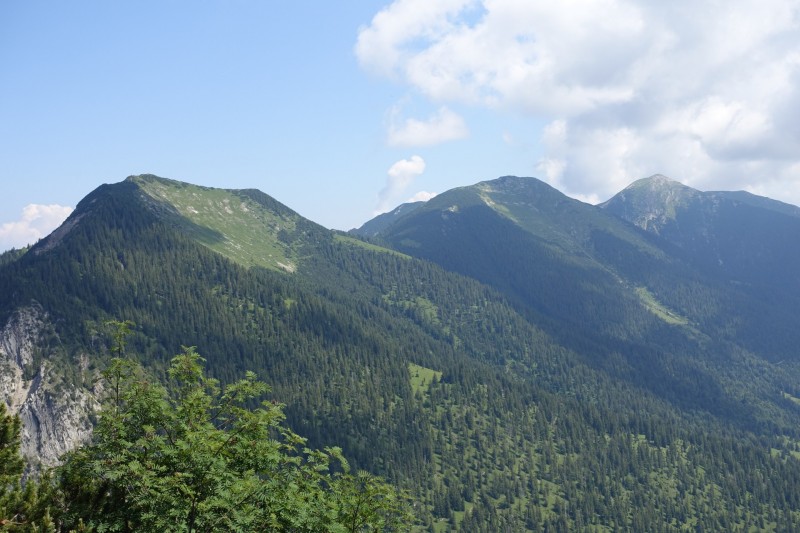 Eckenberg - Ameisberg - Rowank - Esterberg-Alm - Httlsteig