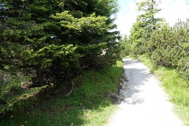 Eckenberg - Ameisberg - Rowank - Esterberg-Alm - Httlsteig