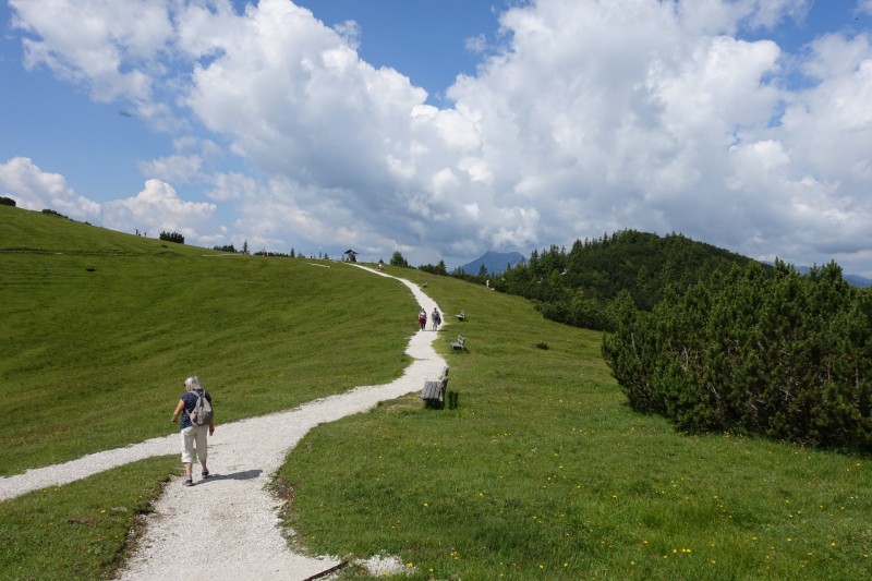 Eckenberg - Ameisberg - Rowank - Esterberg-Alm - Httlsteig