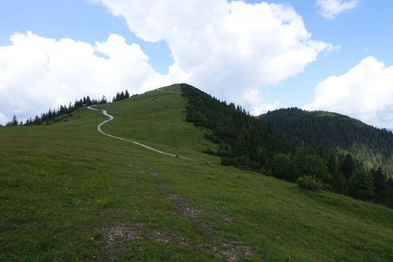 Eckenberg - Ameisberg - Rowank - Esterberg-Alm - Httlsteig