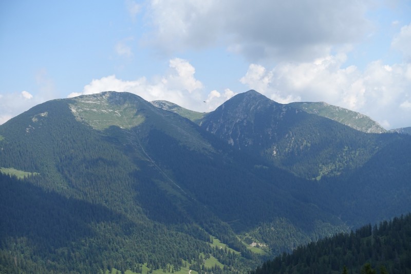 Eckenberg - Ameisberg - Rowank - Esterberg-Alm - Httlsteig