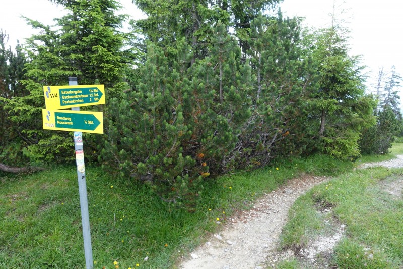 Eckenberg - Ameisberg - Rowank - Esterberg-Alm - Httlsteig