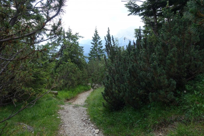 Eckenberg - Ameisberg - Rowank - Esterberg-Alm - Httlsteig
