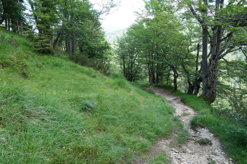 Eckenberg - Ameisberg - Rowank - Esterberg-Alm - Httlsteig